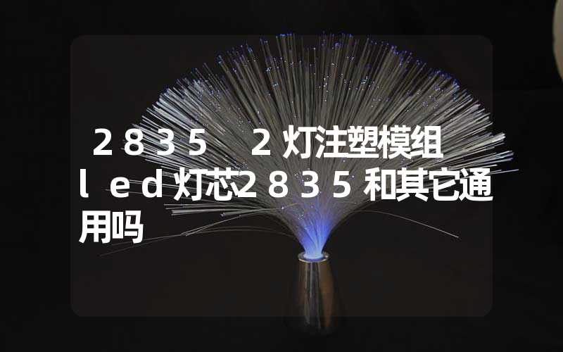 2835 2灯注塑模组 led灯芯2835和其它通用吗